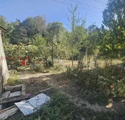 Photo 2 — Arable Land in Kyrdjali, Kyrdjali