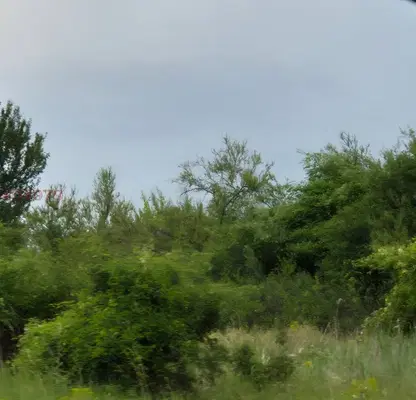 Photo 2 — Meadow in Pernik, Radomir