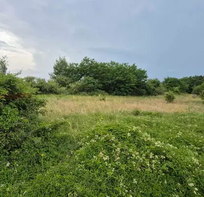Photo 4 — Meadow in Pernik, Radomir