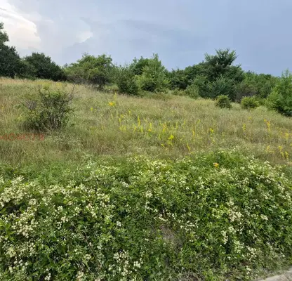Photo 5 — Meadow in Pernik, Radomir
