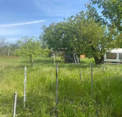 Photo 2 — Vineyard in Razgrad, Razgrad