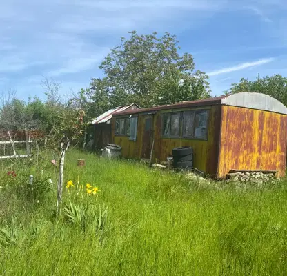 Photo 3 — Vineyard in Razgrad, Razgrad