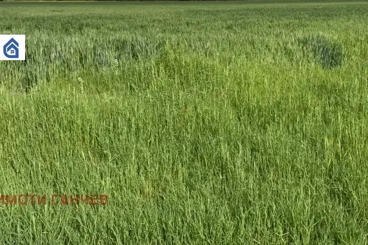 Arable Land in Stara Zagora, Byalo Pole