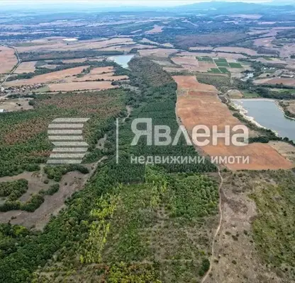 Photo 3 — Forest/Scrubland in Haskovo, Careva Polyana