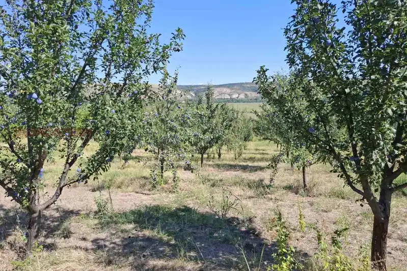 Овощна градина в Плевен, с. Дебово
