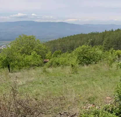 Снимка 4 — Овощна градина в Благоевград, с. Делвино