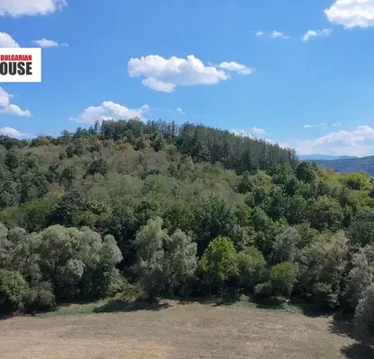 Photo 2 — Forest/Scrubland in Sofia, Djurovo