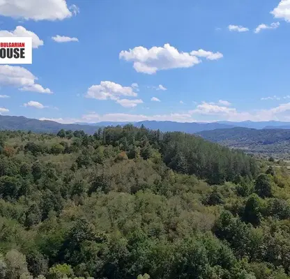 Photo 3 — Forest/Scrubland in Sofia, Djurovo