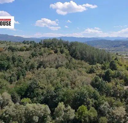 Photo 4 — Forest/Scrubland in Sofia, Djurovo