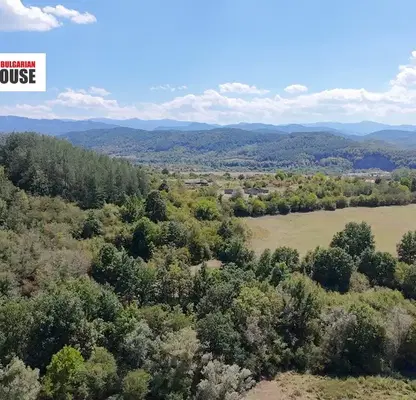 Photo 5 — Forest/Scrubland in Sofia, Djurovo