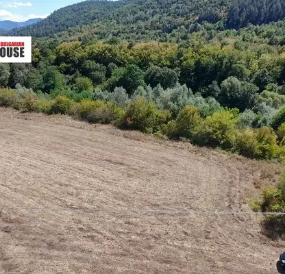 Photo 3 — Meadow in Sofia, Djurovo