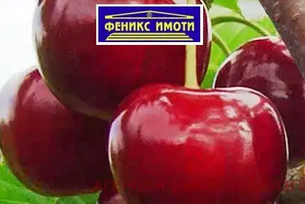 Овощна градина в Кюстендил, с. Горна Гращица