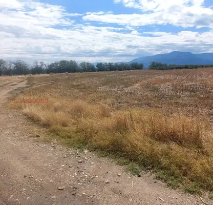 Photo 2 — Arable Land in Plovdiv, Katunica