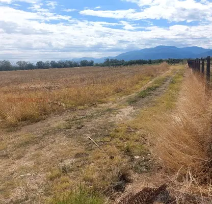 Photo 5 — Arable Land in Plovdiv, Katunica