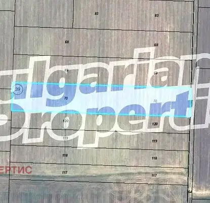 Photo 2 — Arable Land in Varna, Krivnya