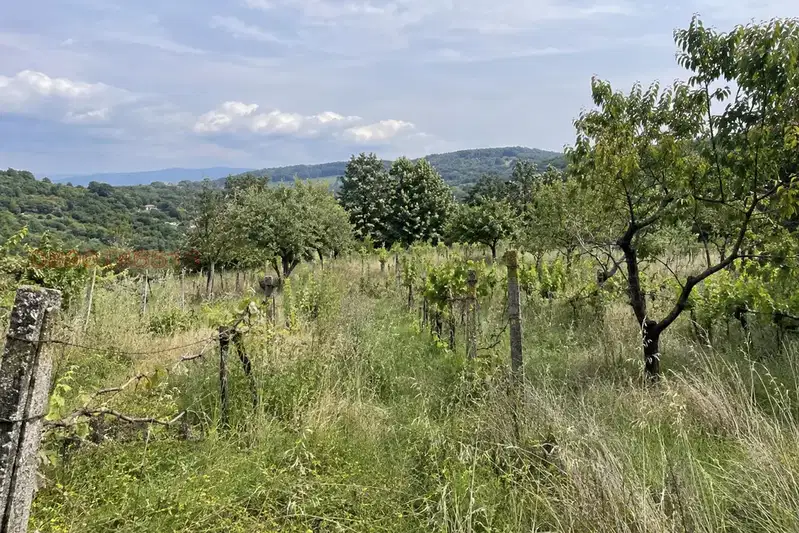 Abandoned Arable Land in Yambol, Kukorevo