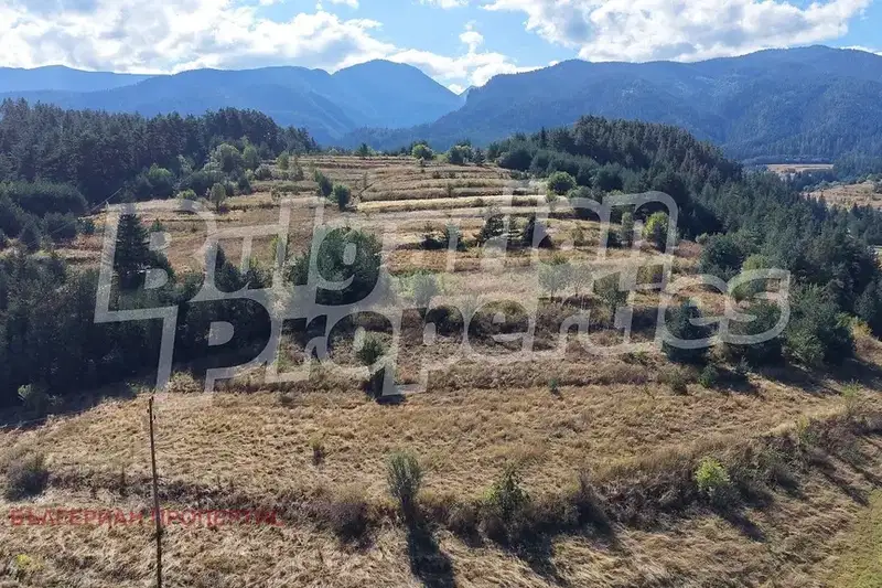 Arable Land in Sofia, Madjare