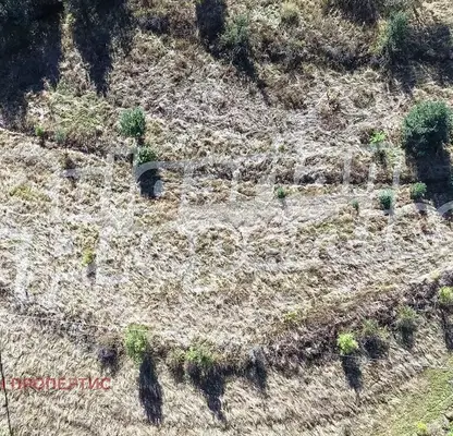 Photo 3 — Arable Land in Sofia, Madjare