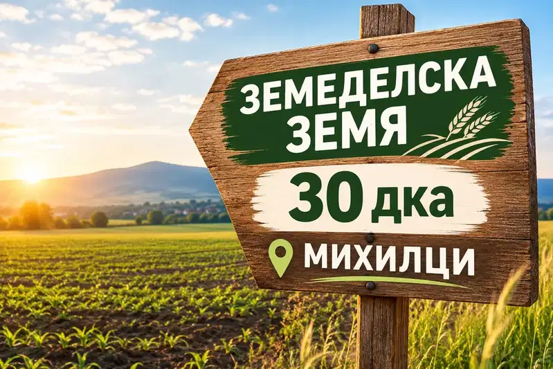 Нива в Пловдив, с. Михилци
