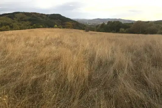 Arable Land in Kyrdjali, Nevestino