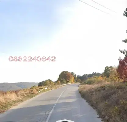 Photo 4 — Forest/Scrubland in Varna, Osenovo