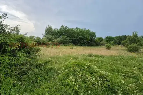 Meadow in Smolyan, s. Pisanitsa