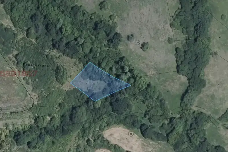 Meadow in Sofia, Pojarevo