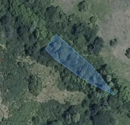 Photo 5 — Meadow in Sofia, Pojarevo