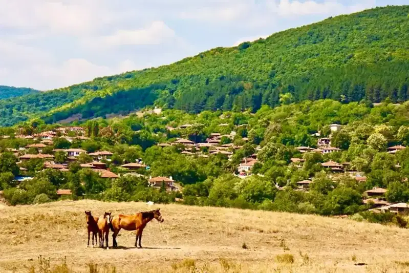 Abandoned Arable Land in Burgas, s. Raklinovo