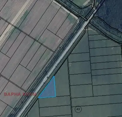 Снимка 2 — Нива във Варна, с. Старо Оряхово