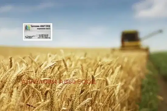 Arable Land in Dobrich, Stefanovo