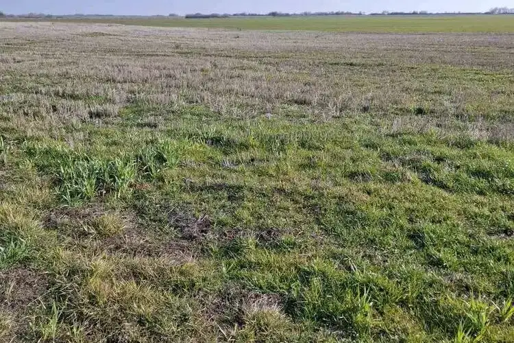 Изоставена орна земя в Стара Загора, с. Стрелец