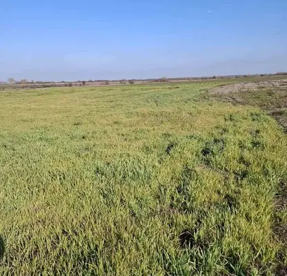Photo 2 — Abandoned Arable Land in Stara Zagora, Strelec