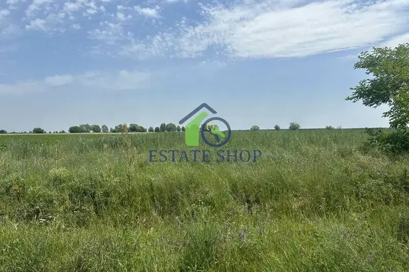 Arable Land in Plovdiv, Trud