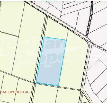 Снимка 2 — Нива в Стара Загора, с. Трънково