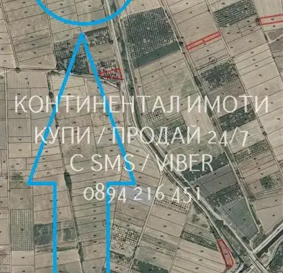 Снимка 2 — Овощна градина в Пловдив, с. Устина