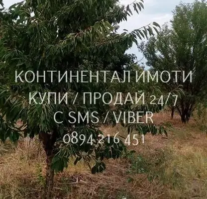 Снимка 4 — Овощна градина в Пловдив, с. Устина
