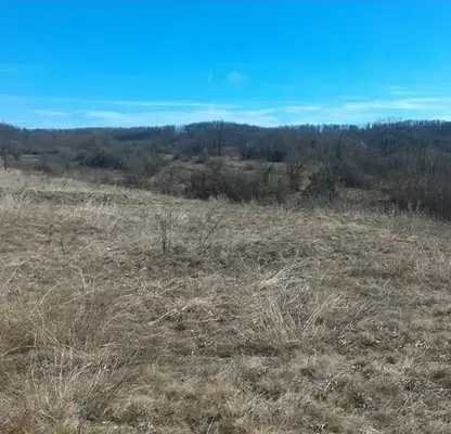 Photo 2 — Meadow in Vidin, Vylchek