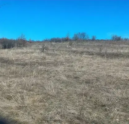 Photo 3 — Meadow in Vidin, Vylchek