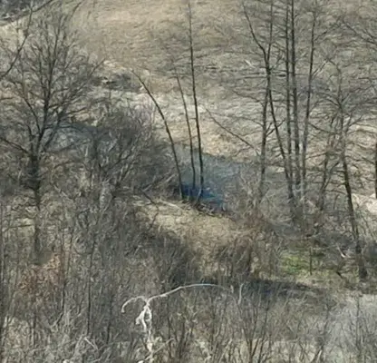 Photo 4 — Meadow in Vidin, Vylchek
