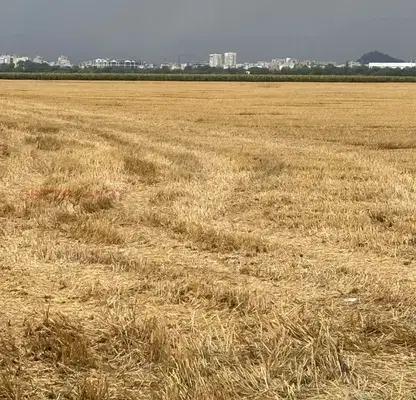Photo 2 — Arable Land in Plovdiv, Yagodovo