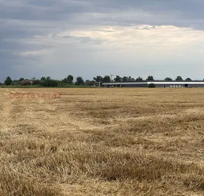 Photo 3 — Arable Land in Plovdiv, Yagodovo