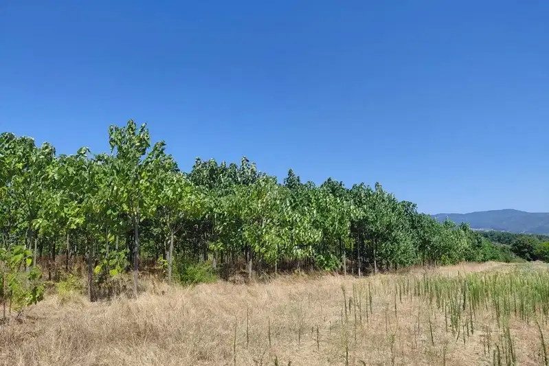 Arable Land in Sliven, Zlati Voivoda