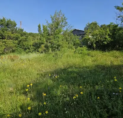 Photo 3 — Meadow in Sofia, Svoge
