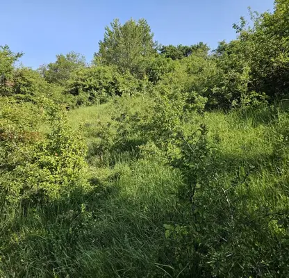 Photo 5 — Meadow in Sofia, Svoge