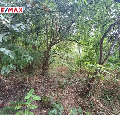 Photo 4 — Meadow in Veliko Tyrnovo, Veliko Tyrnovo