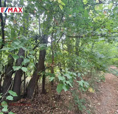 Photo 5 — Meadow in Veliko Tyrnovo, Veliko Tyrnovo