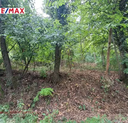 Photo 4 — Meadow in Veliko Tyrnovo, Veliko Tyrnovo