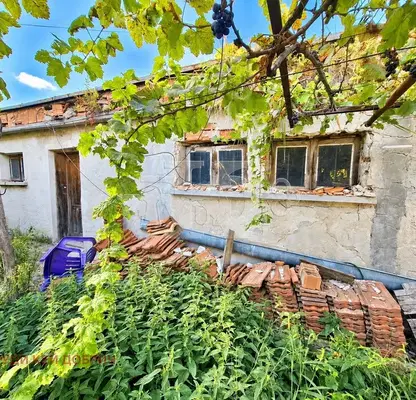 Photo 4 — Brick house with 4 rooms and large yard in General Toshevo
