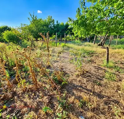 Photo 5 — Brick house with 4 rooms and large yard in General Toshevo